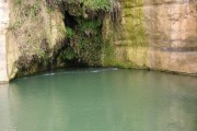 Jeep tour to the Negev desert- Ein Akev spring