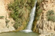 Ein gedi and Masada