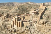 Jeep tour to the Judean desert