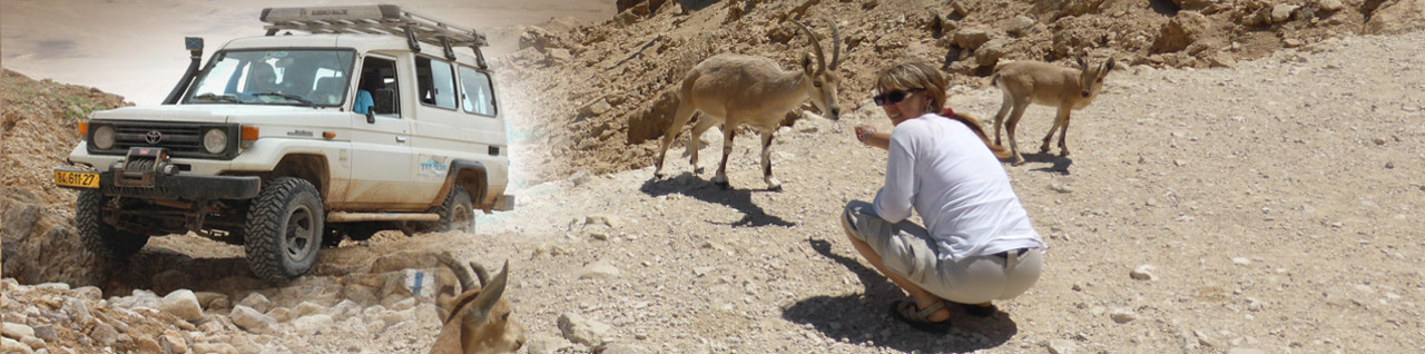 Jeep Tours in Israel